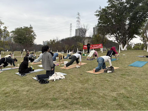 微信图片_20260310100646_307_209