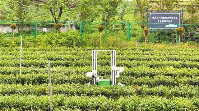 LOCAL1776384912221LG6ERVVXYD